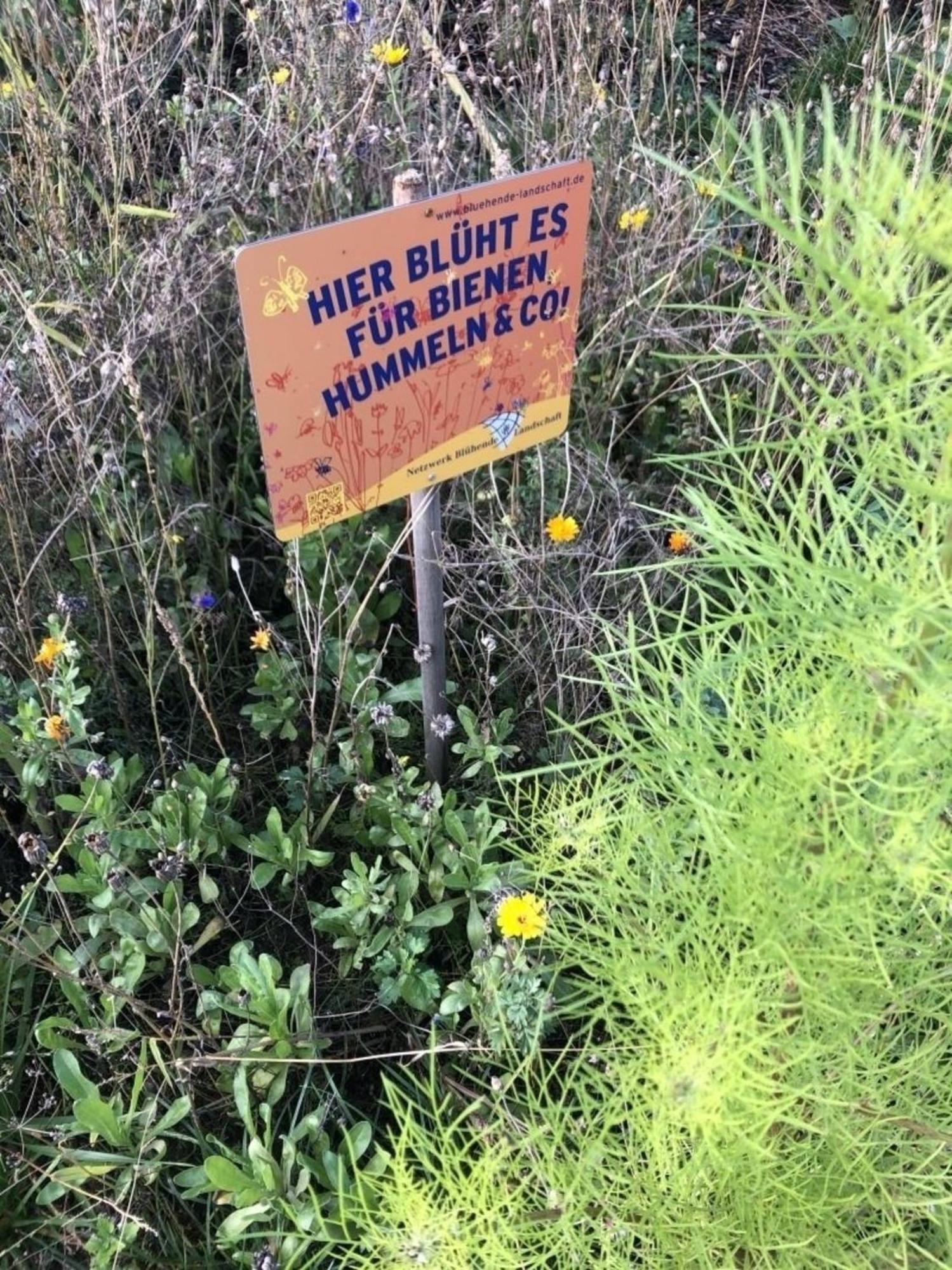 Meeresperle 1 Ankerplatz 克吕茨 外观 照片